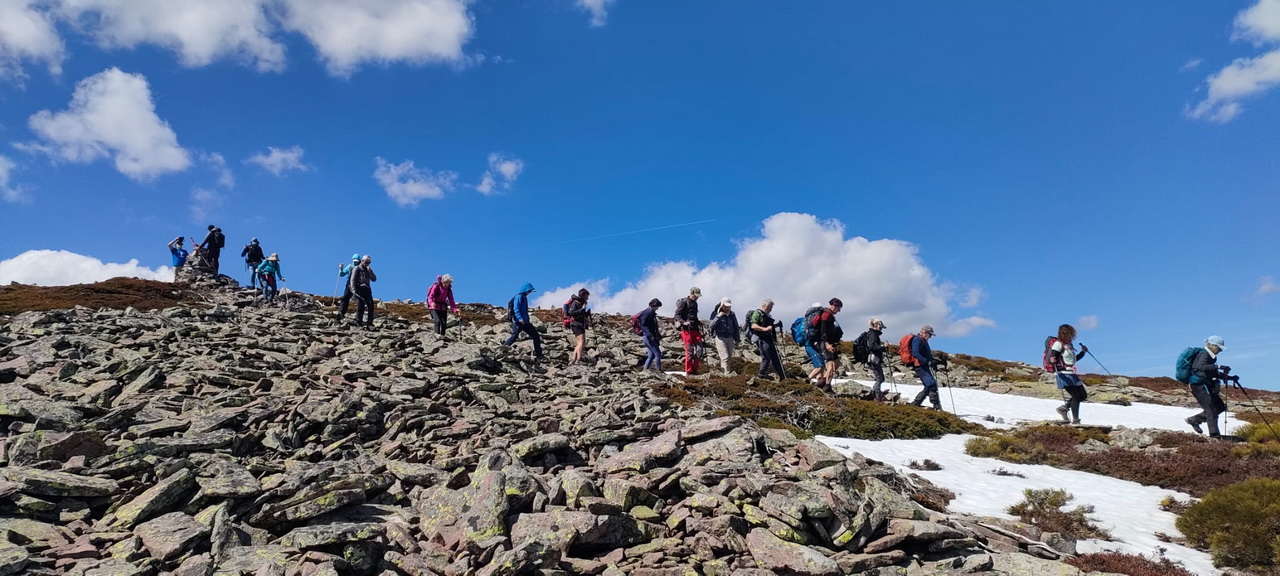 WhatsApp Image 2026-04-08 at 07.40.54 (7)